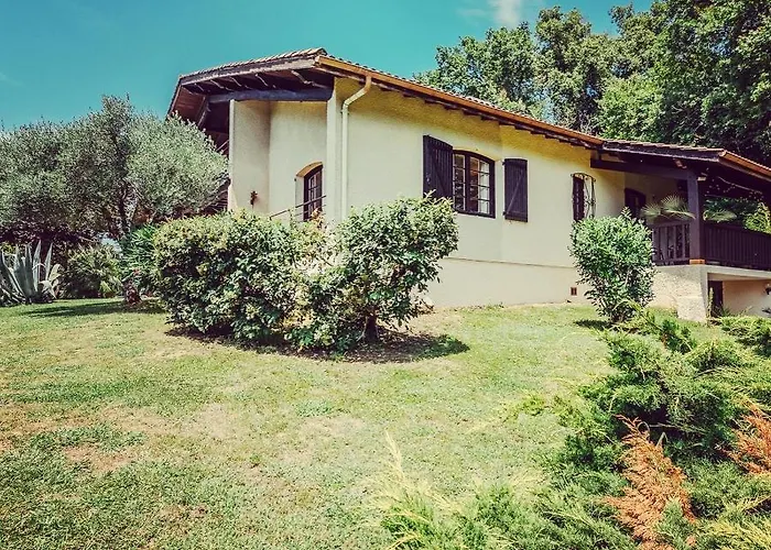 Armagnac, Relaxing Near Daire